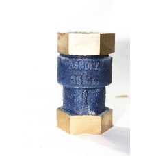 Gm Check Valve Vertical Lift Screwed (Is-778)  (Sant)